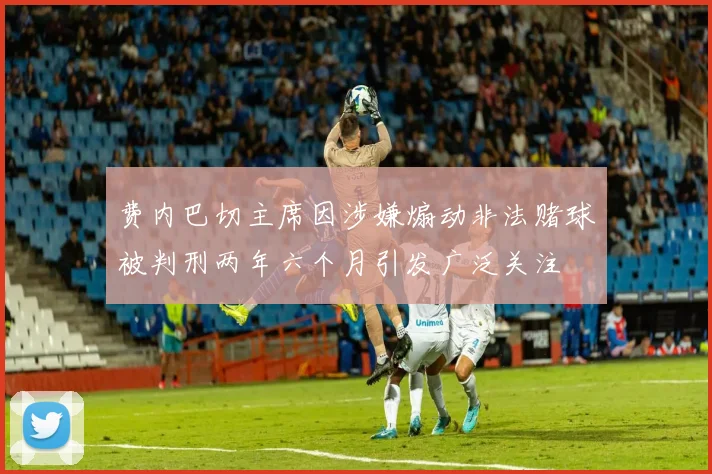 费内巴切主席因涉嫌煽动非法赌球被判刑两年六个月引发广泛关注
