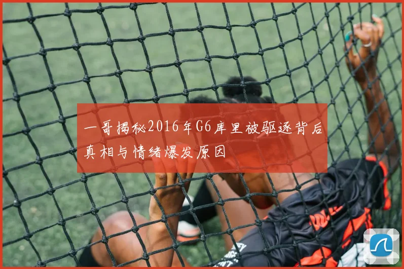 一哥揭秘2016年G6库里被驱逐背后真相与情绪爆发原因