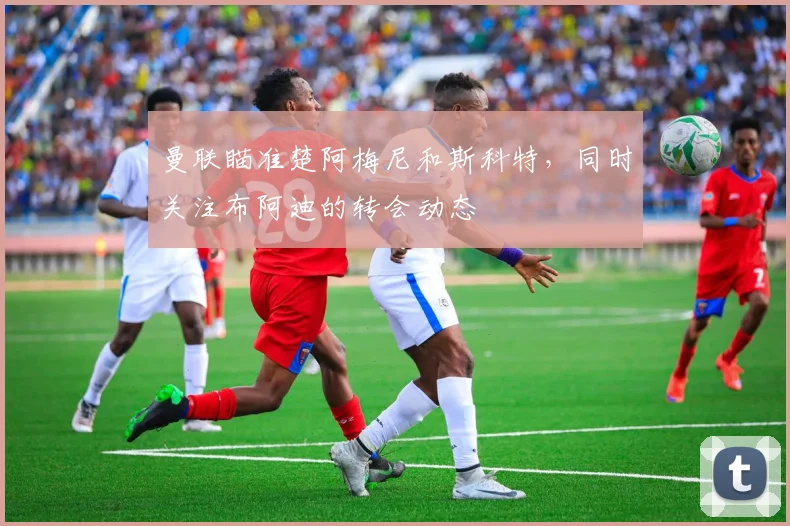 曼联瞄准楚阿梅尼和斯科特，同时关注布阿迪的转会动态