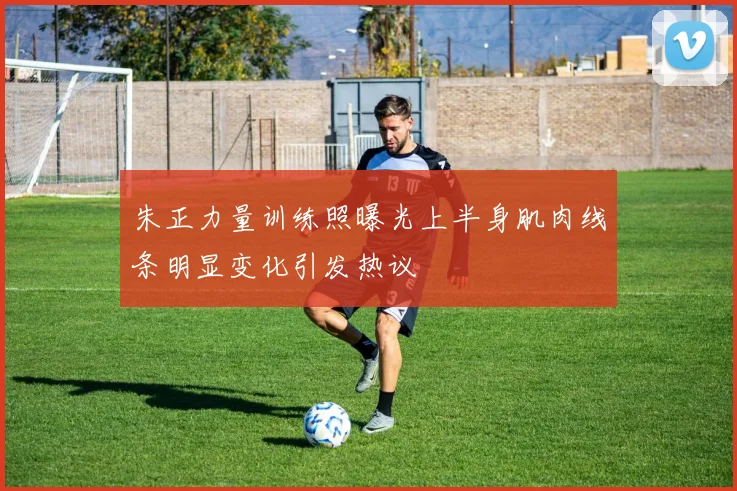 朱正力量训练照曝光上半身肌肉线条明显变化引发热议